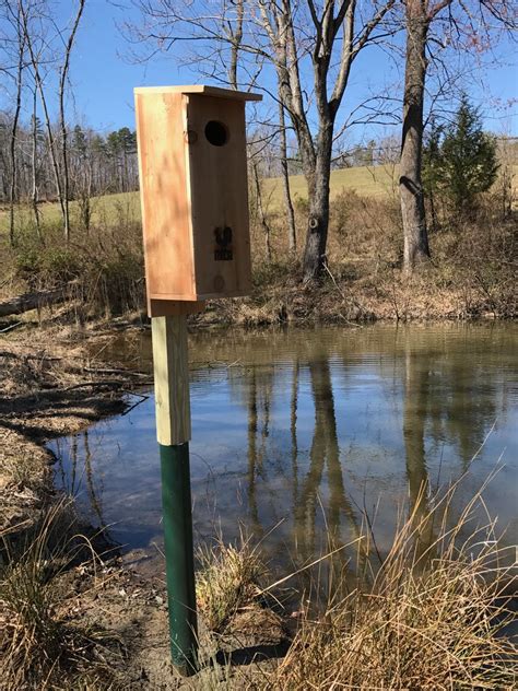 wood duck box location